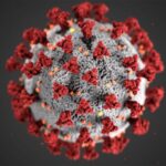 Microbes-1-800x450