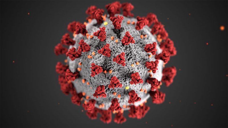 Microbes-1-800x450