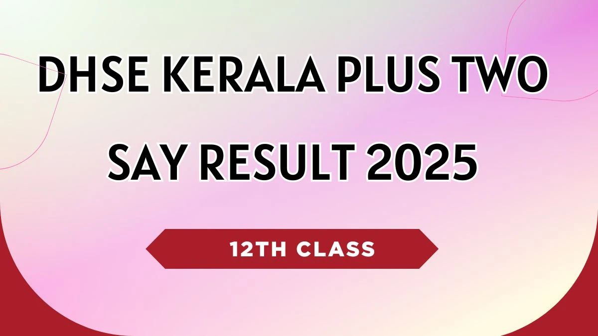 Kerala +2 SAY Results 2025